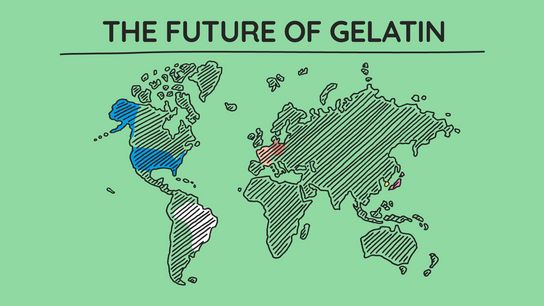 Global Gelatin Survey